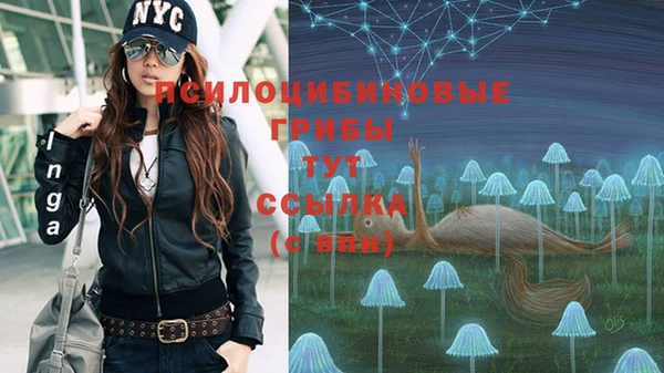 крисы Кукмор